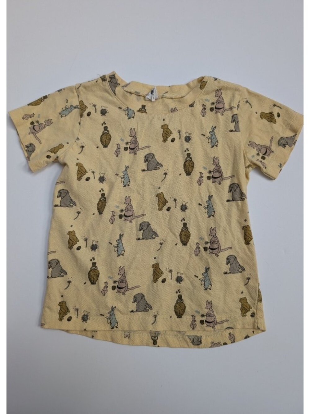 Kate Quinn Organic Cotton Winnie the Pooh & Friends Short Sleeve Boxy Tee 5Y